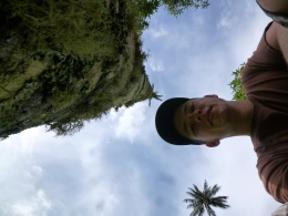 a fucking high palm tree